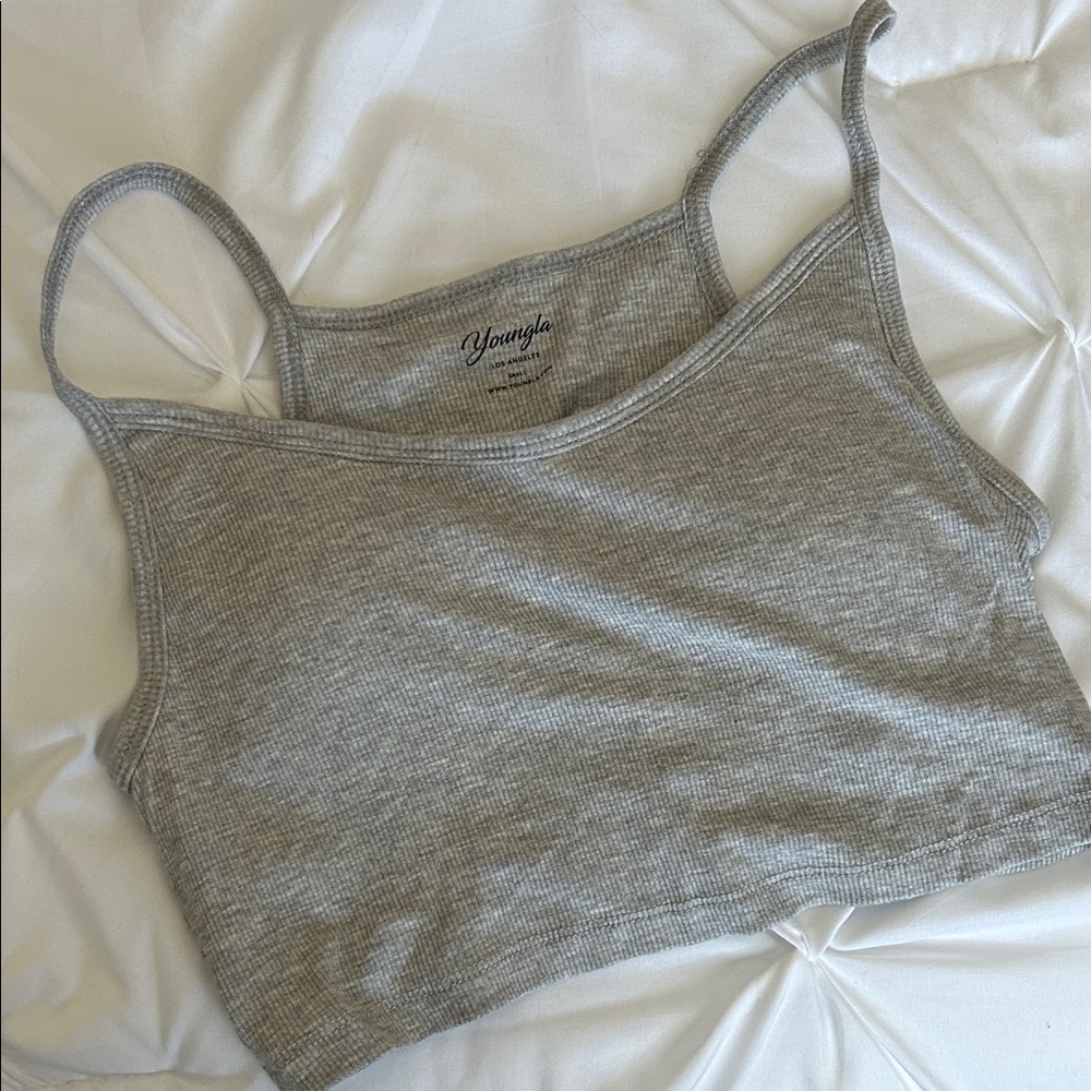 Gray Youngla Crop Top